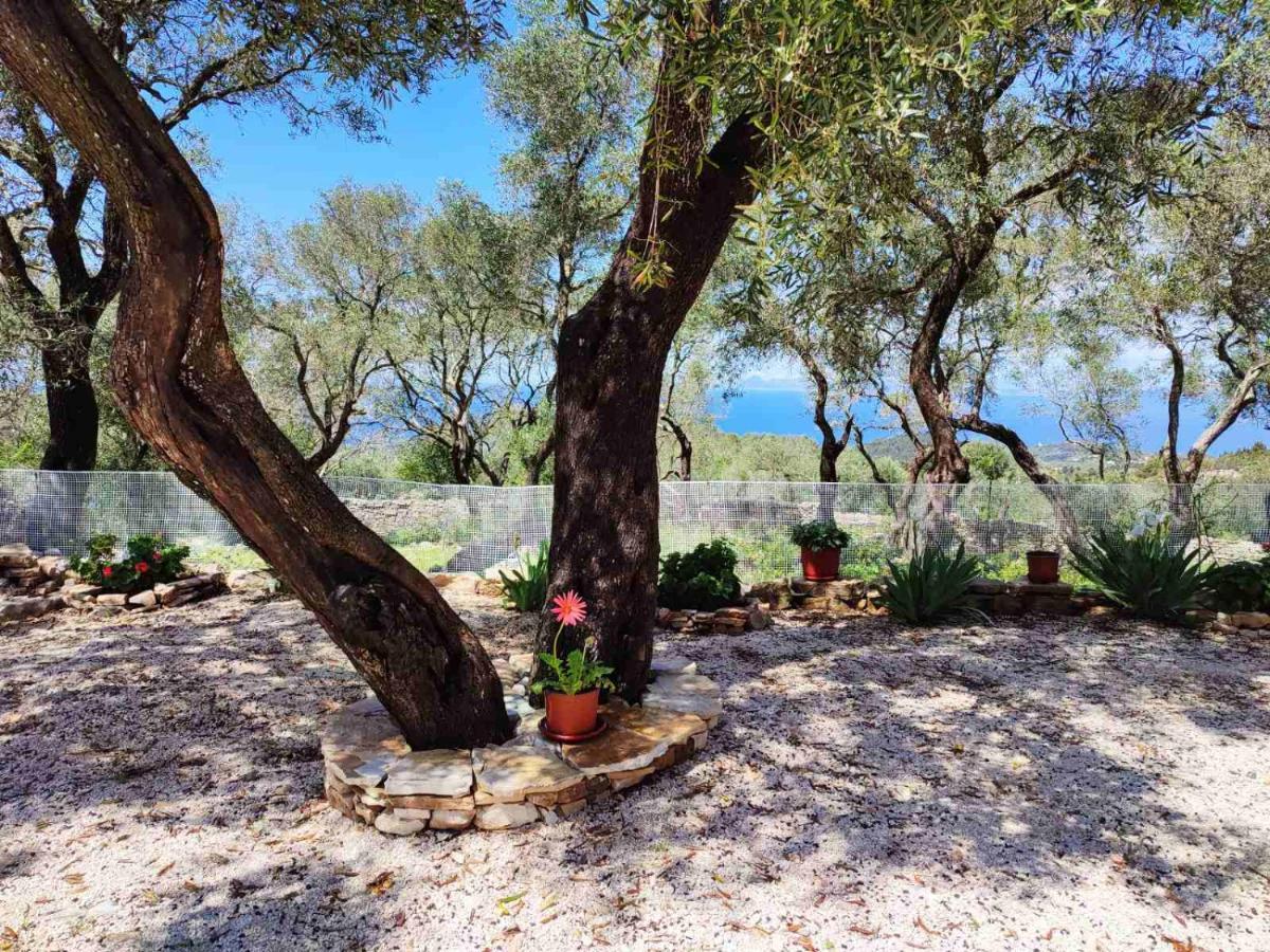 Villa Olive Garden, Kastanida - Paxoi Gaios Exterior photo