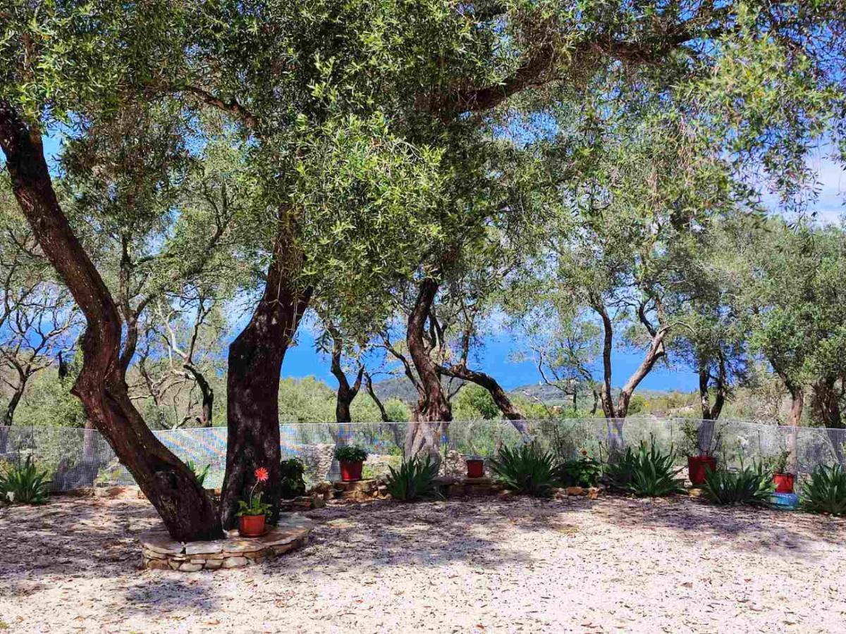 Villa Olive Garden, Kastanida - Paxoi Gaios Exterior photo