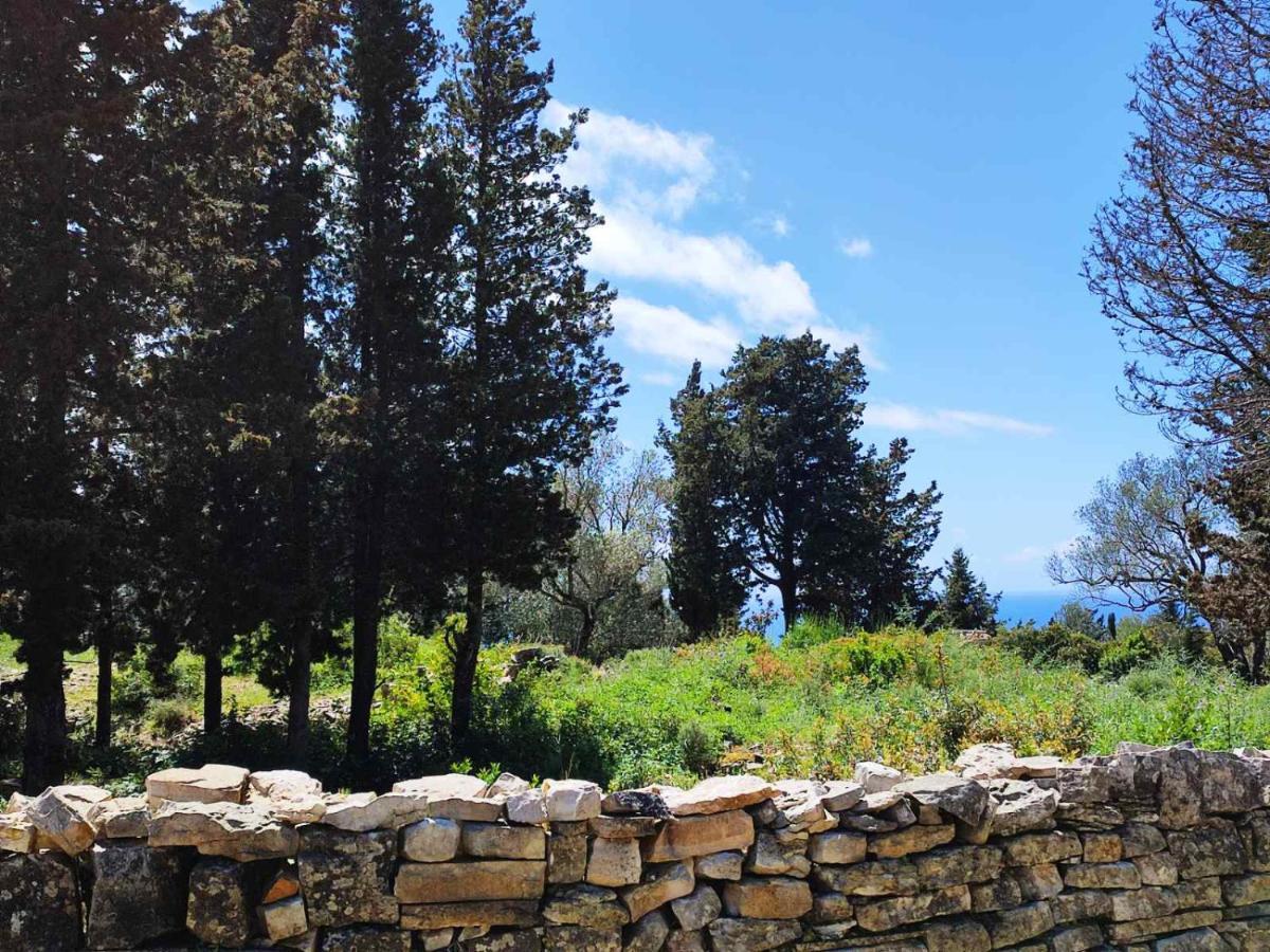 Villa Olive Garden, Kastanida - Paxoi Gaios Exterior photo